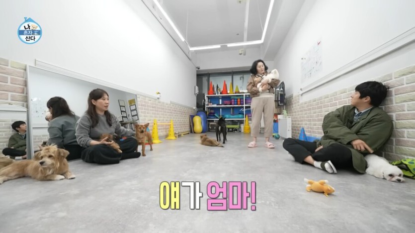 박나래 나가고 오히려 나혼산 시청률이 올라간 이유_13.png