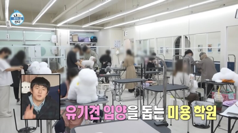 박나래 나가고 오히려 나혼산 시청률이 올라간 이유_10.png